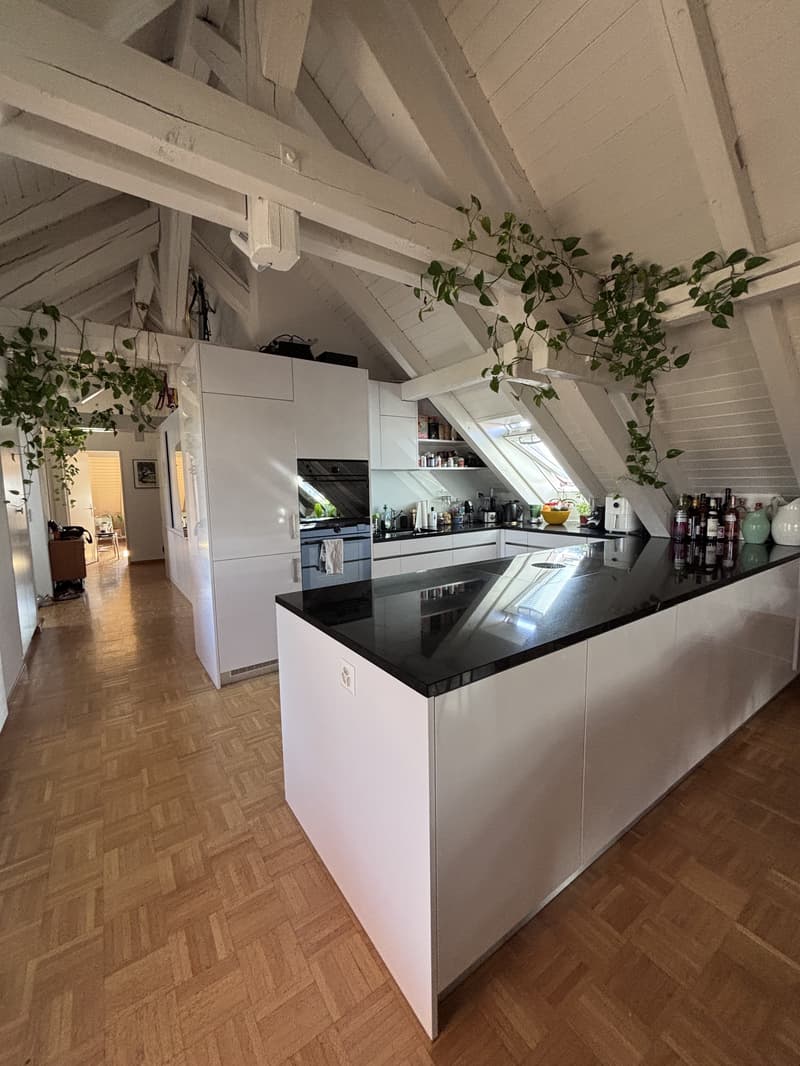 3½ ZIMMER-ATTIKAWOHNUNG IN ZÜRICH - KREIS 3 WIEDIKON, MÖBLIERT, TEMPOR (3)
