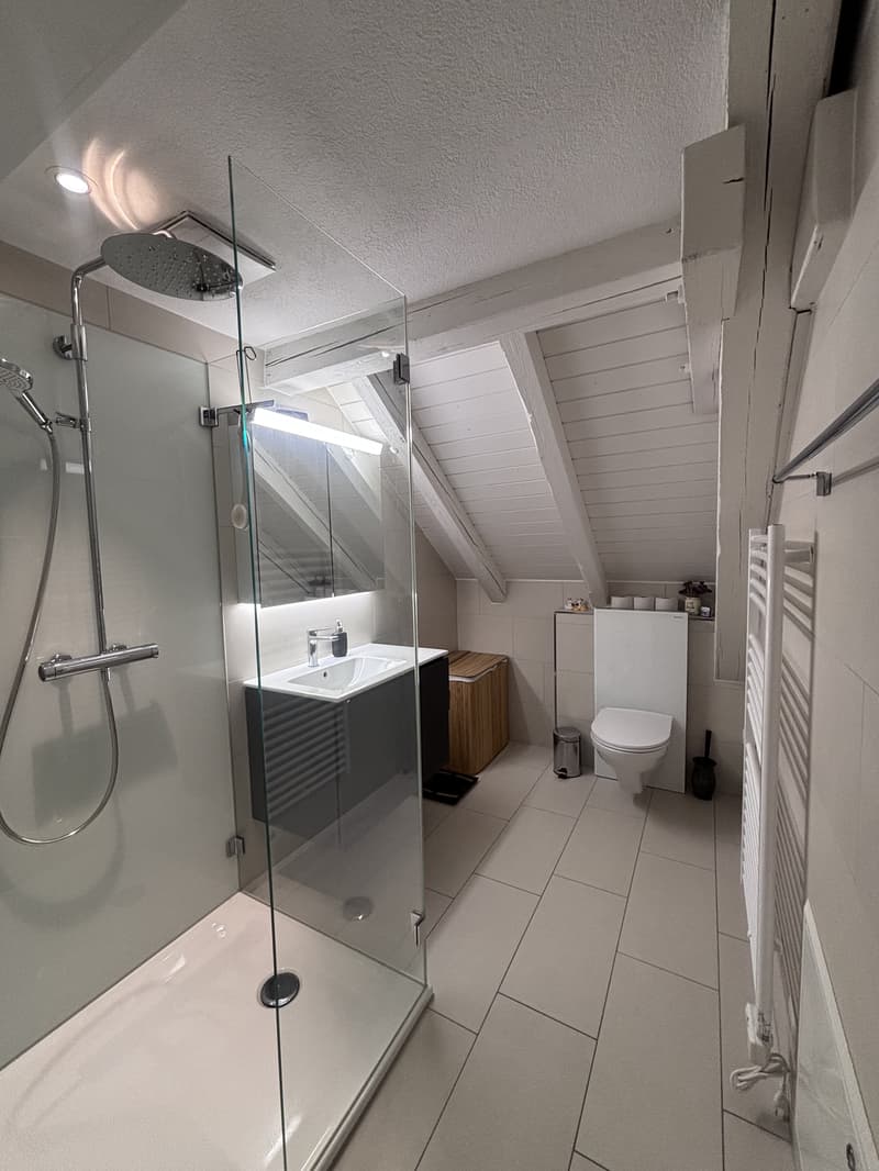 3½ ZIMMER-ATTIKAWOHNUNG IN ZÜRICH - KREIS 3 WIEDIKON, MÖBLIERT, TEMPOR (6)
