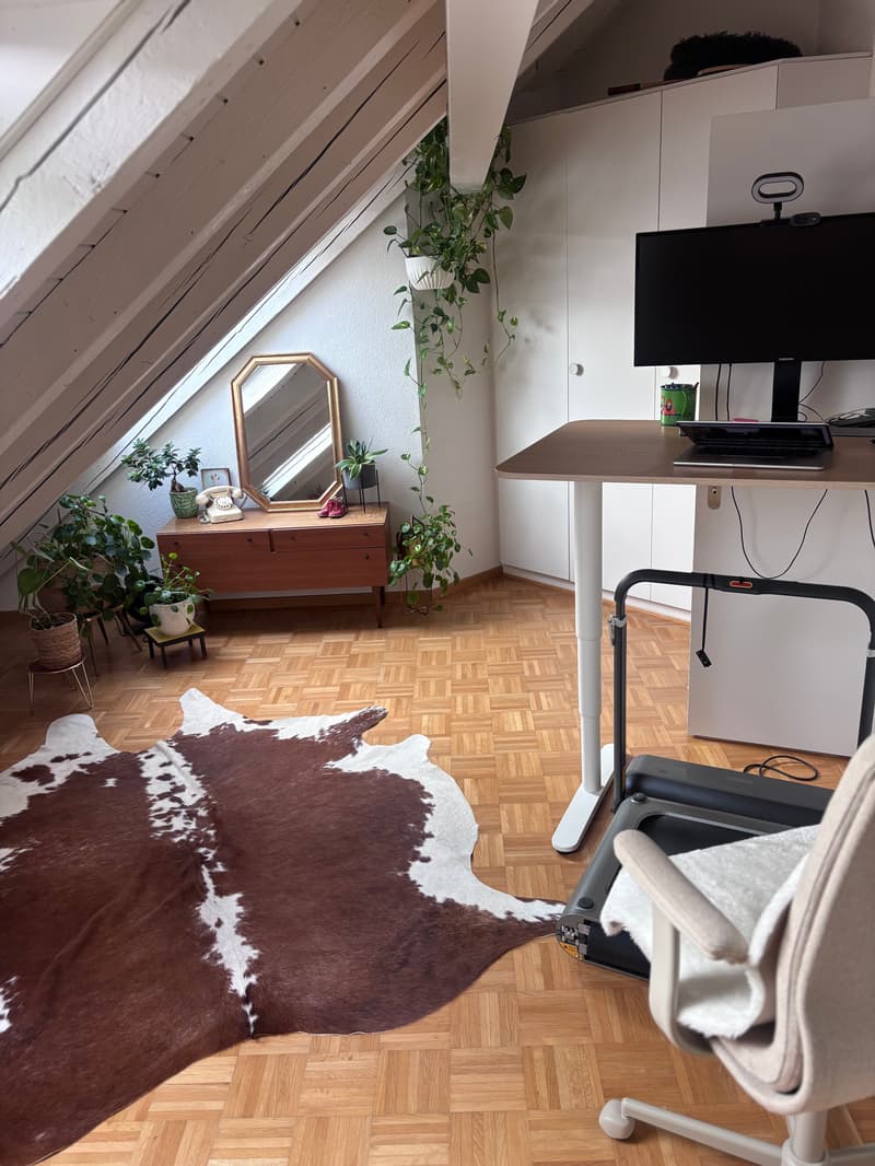 3½ ZIMMER-ATTIKAWOHNUNG IN ZÜRICH - KREIS 3 WIEDIKON, MÖBLIERT, TEMPOR (8)