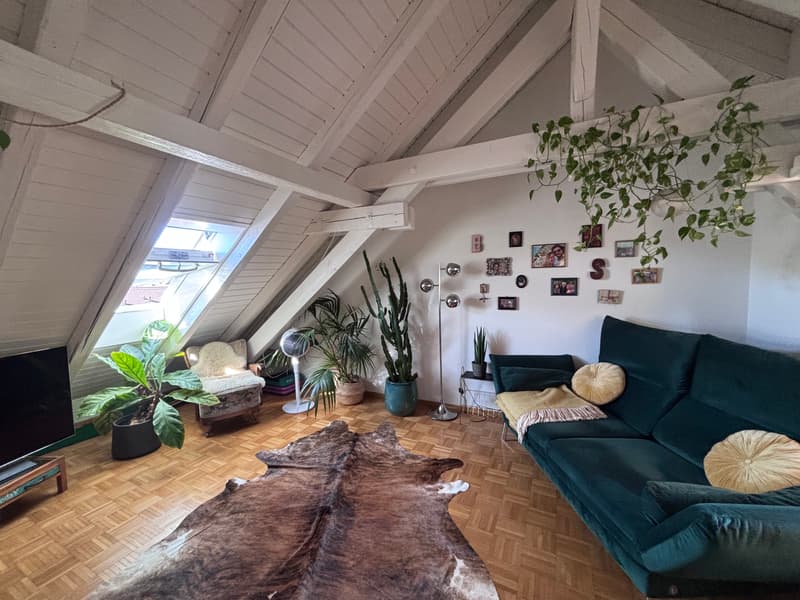 3½ ZIMMER-ATTIKAWOHNUNG IN ZÜRICH - KREIS 3 WIEDIKON, MÖBLIERT, TEMPOR (2)