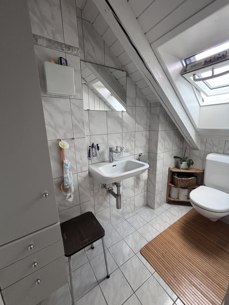 3½ ZIMMER-ATTIKAWOHNUNG IN ZÜRICH - KREIS 3 WIEDIKON, MÖBLIERT, TEMPOR (7)