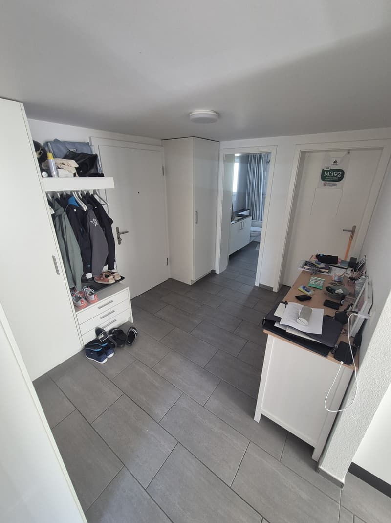 3 ZI-WOHNUNG IN SOLOTHURN, MÖBLIERT, TEMPORÄR (9)