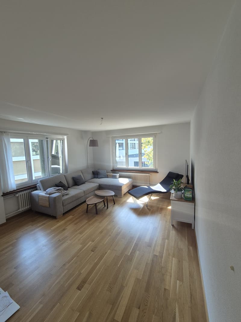 3 ZI-WOHNUNG IN SOLOTHURN, MÖBLIERT, TEMPORÄR (2)