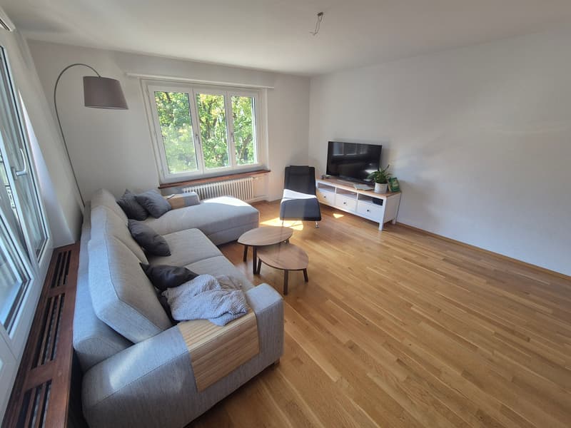 3 ZI-WOHNUNG IN SOLOTHURN, MÖBLIERT, TEMPORÄR (1)