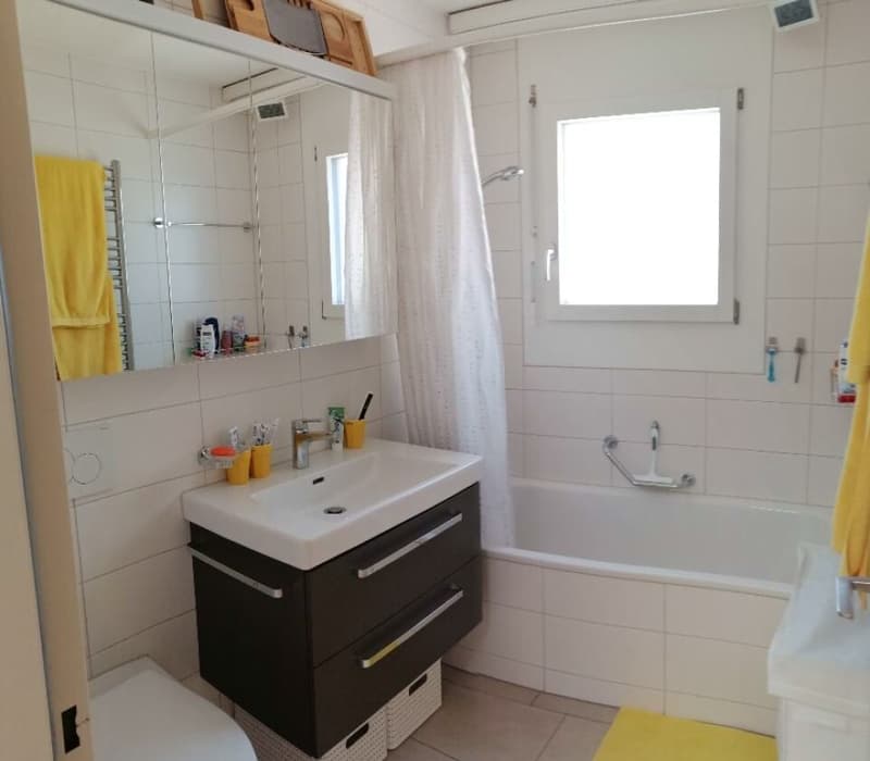 3½ ZIMMER-ATTIKAWOHNUNG IN ZÜRICH - KREIS 11 OERLIKON, MÖBLIERT, TEMPO (7)