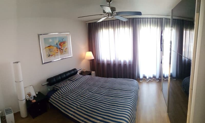 3½ ZIMMER-ATTIKAWOHNUNG IN ZÜRICH - KREIS 11 OERLIKON, MÖBLIERT, TEMPO (5)