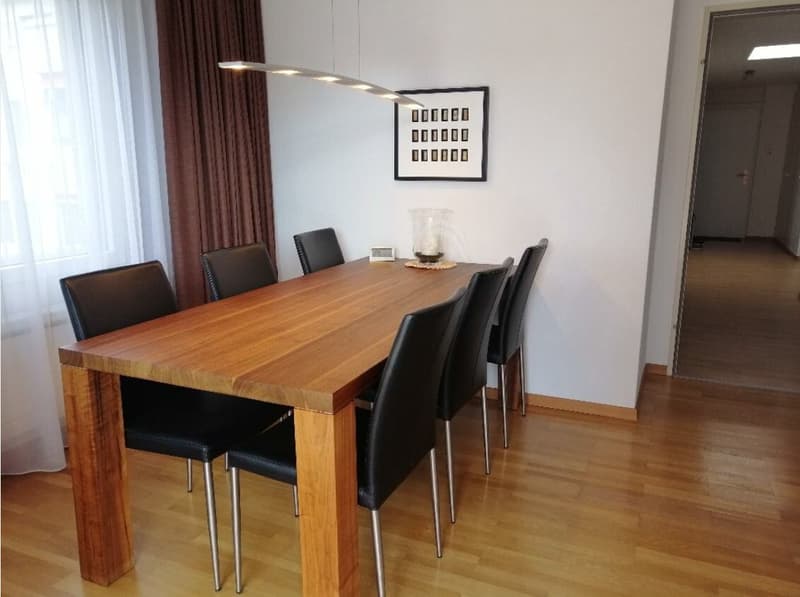 3½ ZIMMER-ATTIKAWOHNUNG IN ZÜRICH - KREIS 11 OERLIKON, MÖBLIERT, TEMPO (2)