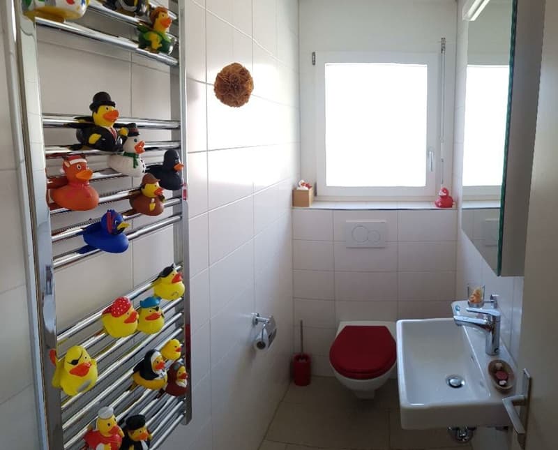 3½ ZIMMER-ATTIKAWOHNUNG IN ZÜRICH - KREIS 11 OERLIKON, MÖBLIERT, TEMPO (8)