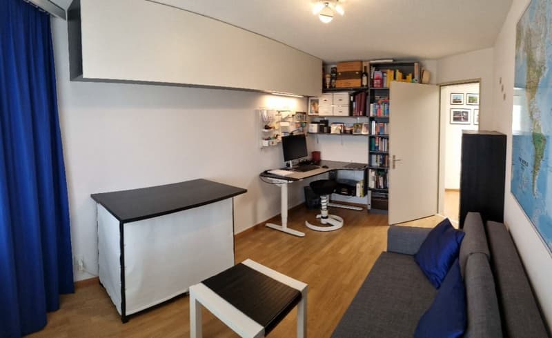 3½ ZIMMER-ATTIKAWOHNUNG IN ZÜRICH - KREIS 11 OERLIKON, MÖBLIERT, TEMPO (4)