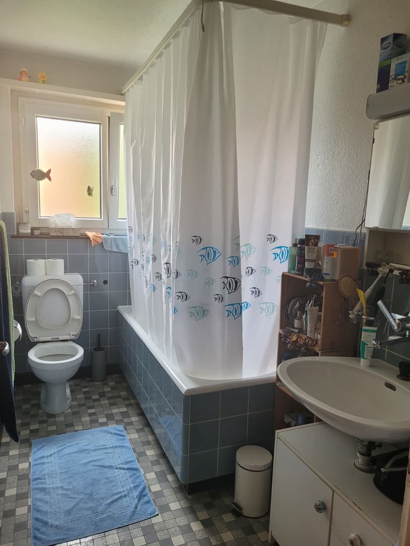 3½ ZI-WOHNUNG IN CHAM (ZG), MÖBLIERT, TEMPORÄR (5)