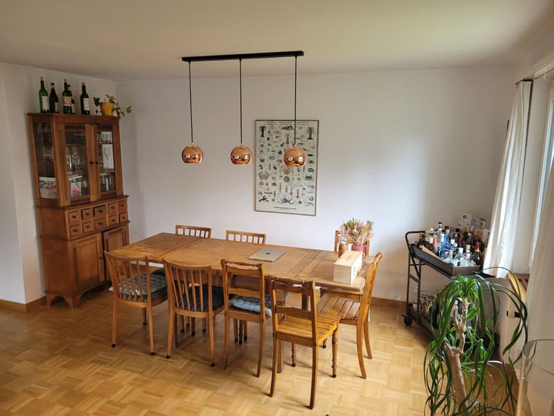 3½ ZI-WOHNUNG IN CHAM (ZG), MÖBLIERT, TEMPORÄR (2)