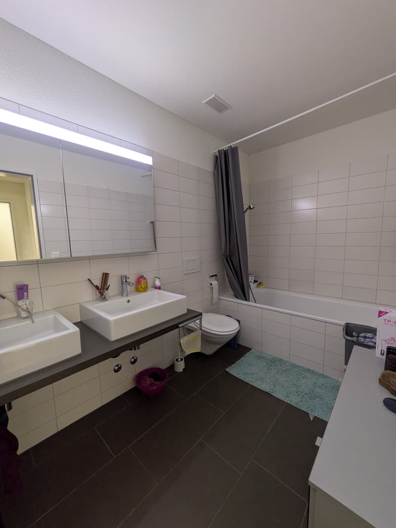 3½ ZI-WOHNUNG IN GLATTPARK (OPFIKON), MÖBLIERT, TEMPORÄR (5)