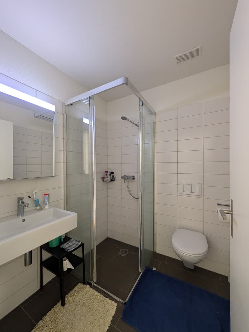 3½ ZI-WOHNUNG IN GLATTPARK (OPFIKON), MÖBLIERT, TEMPORÄR (6)