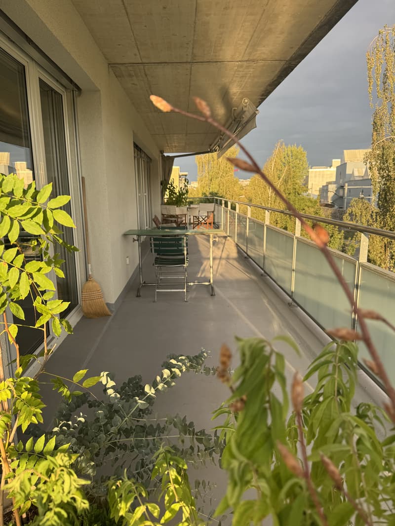 3½ ZI-WOHNUNG IN ZÜRICH - KREIS 11, MÖBLIERT, TEMPORÄR (8)