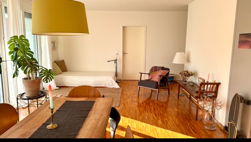 3½ ZI-WOHNUNG IN ZÜRICH - KREIS 11, MÖBLIERT, TEMPORÄR (1)