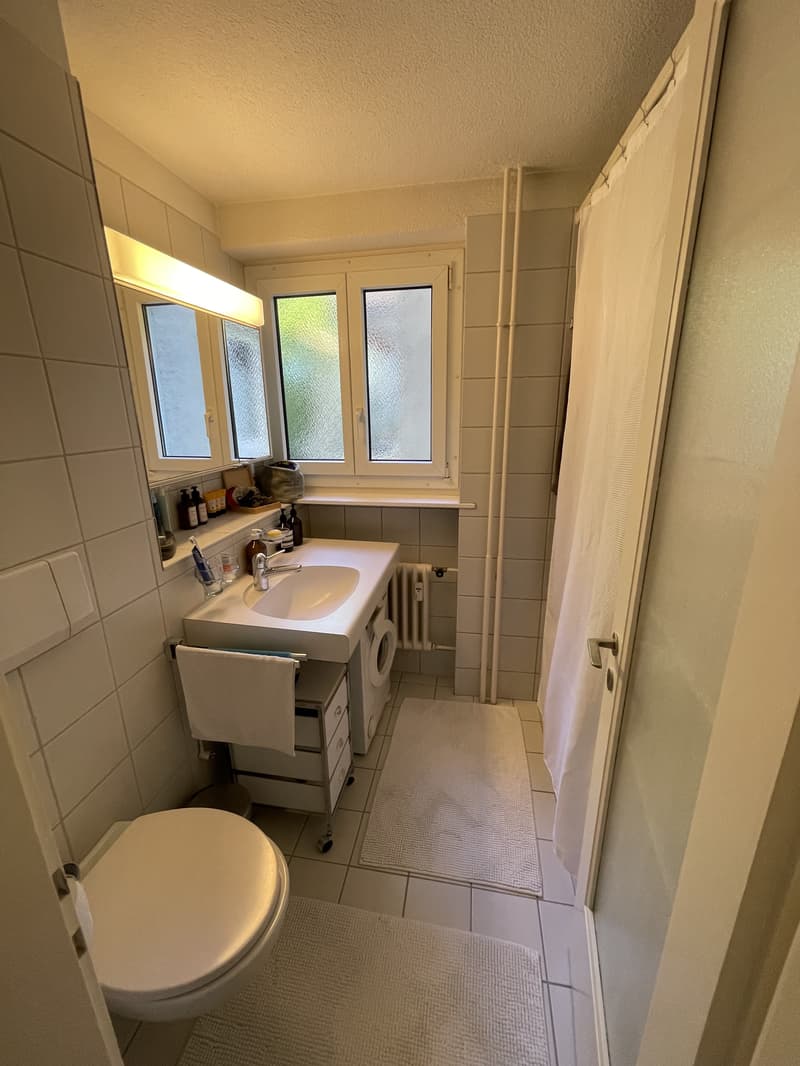 2½ ZI-WOHNUNG IN ZÜRICH - KREIS 8, MÖBLIERT, TEMPORÄR (5)