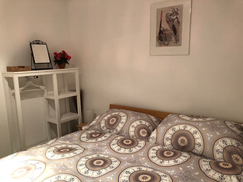 3 ZI-WOHNUNG IN RAPPERSWIL (SG), MÖBLIERT, TEMPORÄR (10)
