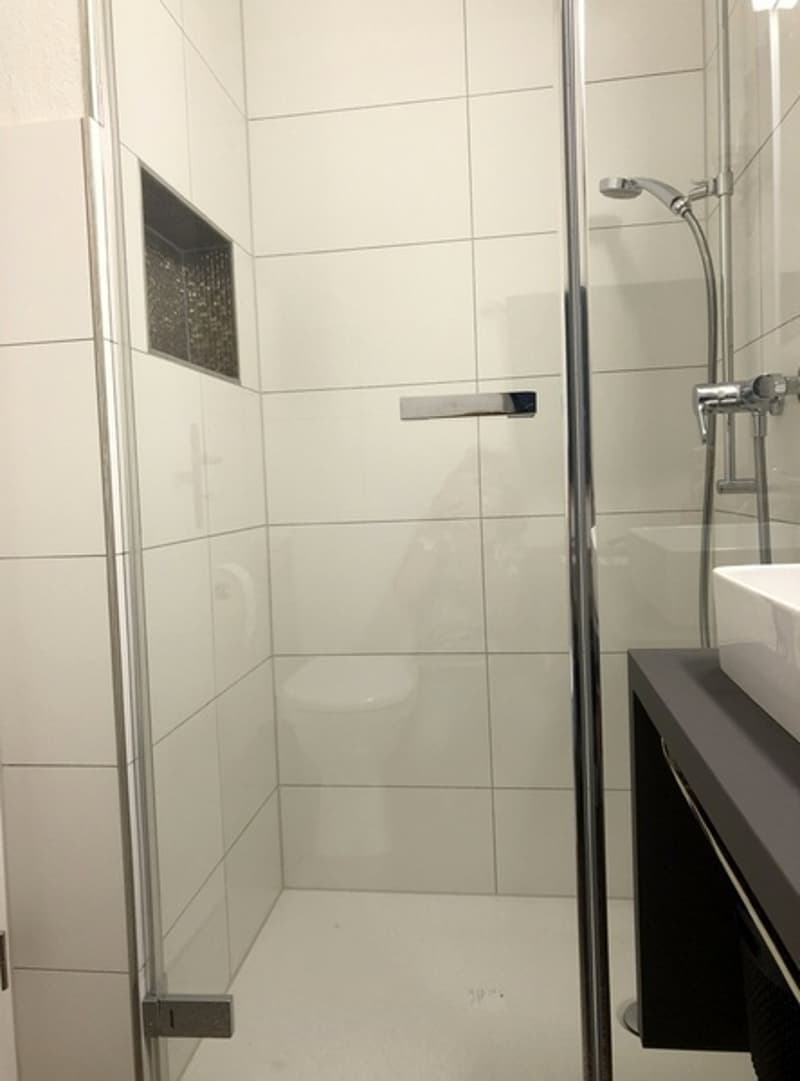 3 ZI-WOHNUNG IN RAPPERSWIL (SG), MÖBLIERT, TEMPORÄR (4)