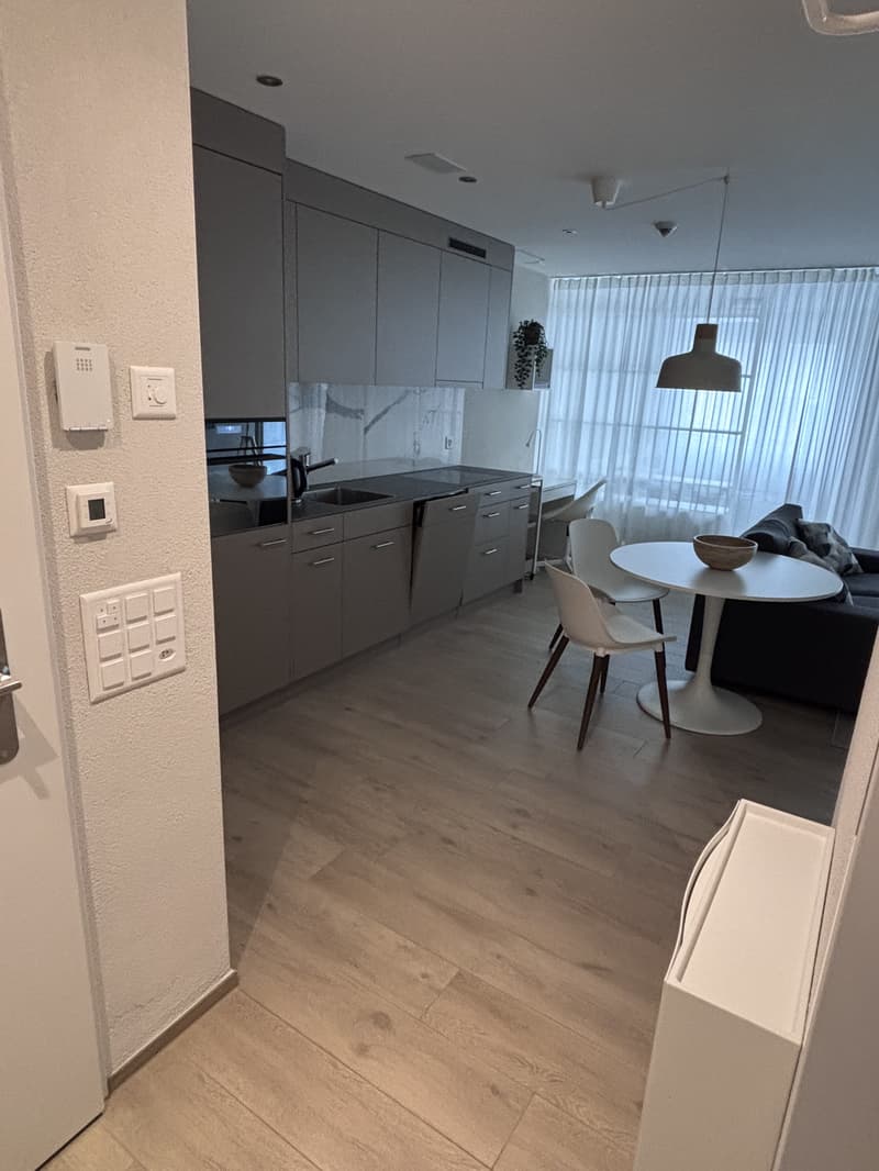 1½ ZI-WOHNUNG IN NEUHAUSEN AM RHEINFALL (SH), MÖBLIERT, TEMPORÄR (4)