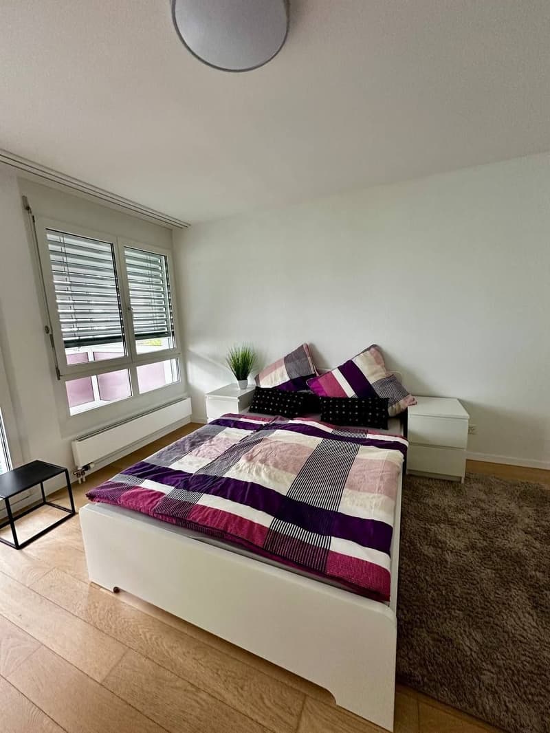 3½ ZI-WOHNUNG IN LANGWIESEN (ZH), MÖBLIERT, TEMPORÄR (5)