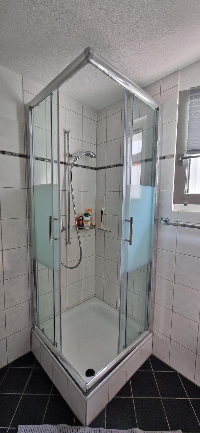 3½ ZI-WOHNUNG IN LANGWIESEN (ZH), MÖBLIERT, TEMPORÄR (7)