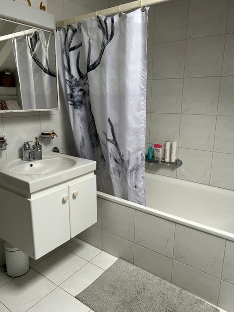 3 ZI-WOHNUNG IN LUZERN, MÖBLIERT, TEMPORÄR (9)