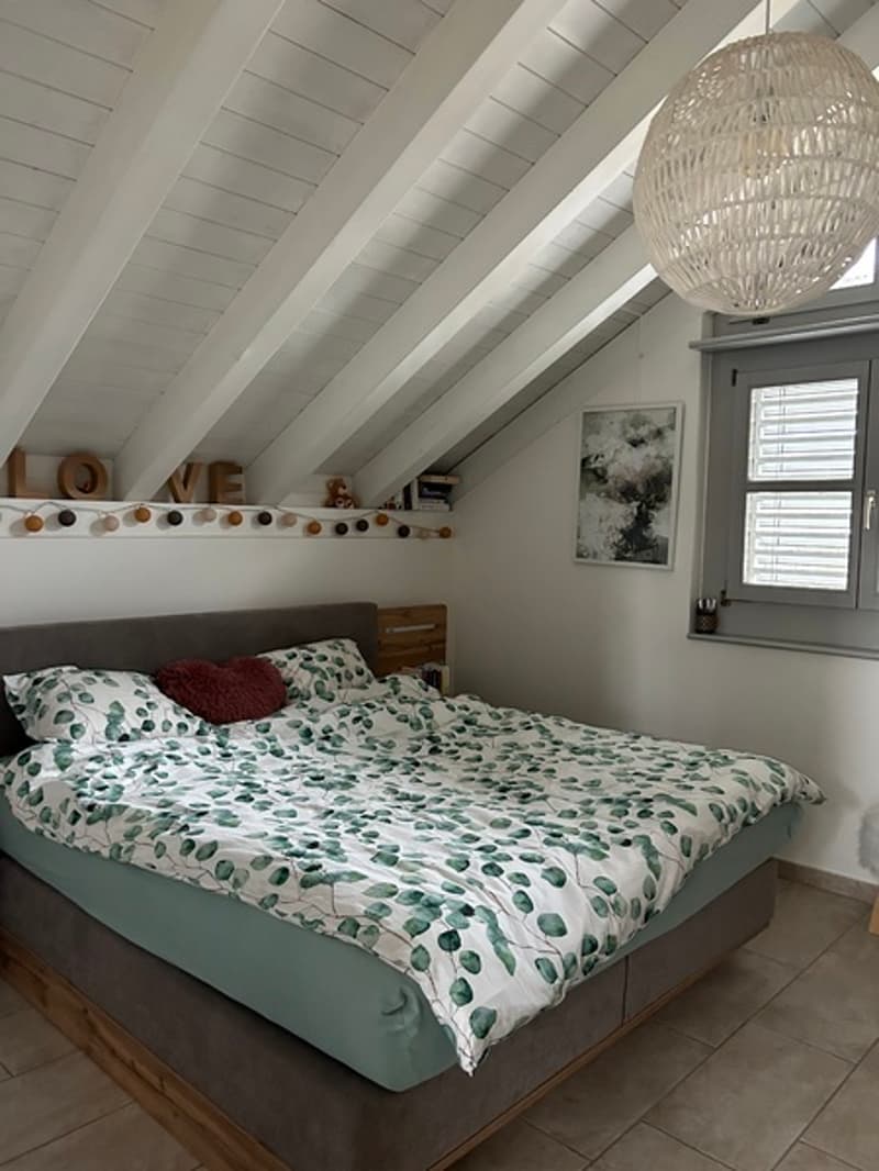 3 ZI-WOHNUNG IN LUZERN, MÖBLIERT, TEMPORÄR (8)