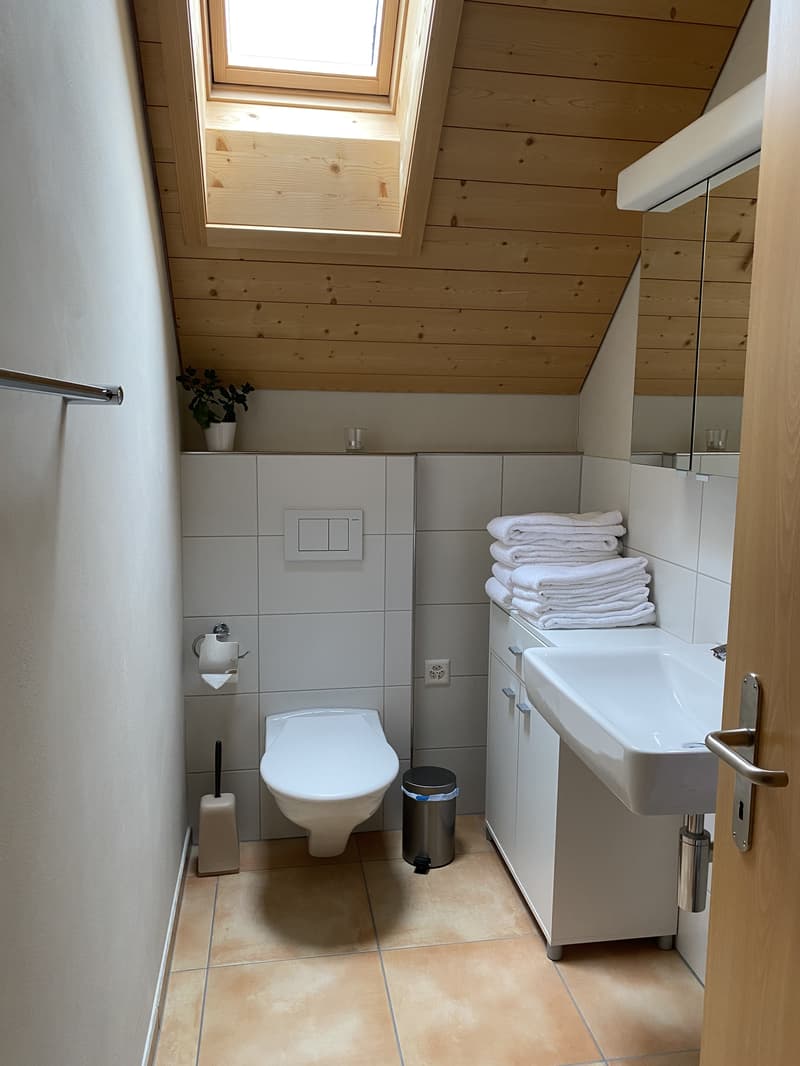 2½ ZI-WOHNUNG IN WATTENWIL (BE), MÖBLIERT, TEMPORÄR (8)