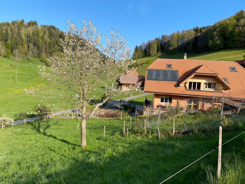 2½ ZI-WOHNUNG IN WATTENWIL (BE), MÖBLIERT, TEMPORÄR (10)