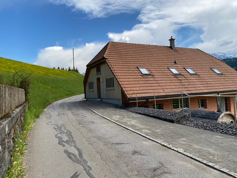 2½ ZI-WOHNUNG IN WATTENWIL (BE), MÖBLIERT, TEMPORÄR (9)