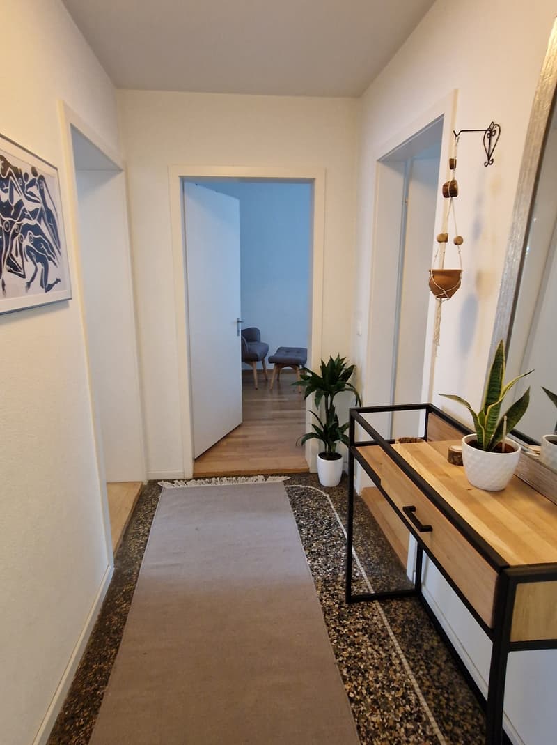 3½ ZI-WOHNUNG IN ZÜRICH - KREIS 3 WIEDIKON, MÖBLIERT, TEMPORÄR (7)