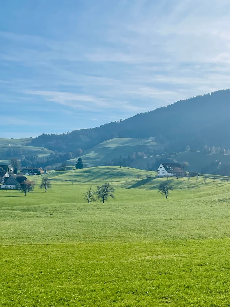 1 ZIMMER-ATTIKAWOHNUNG IN HÜTTEN (ZH), MÖBLIERT, TEMPORÄR (3)