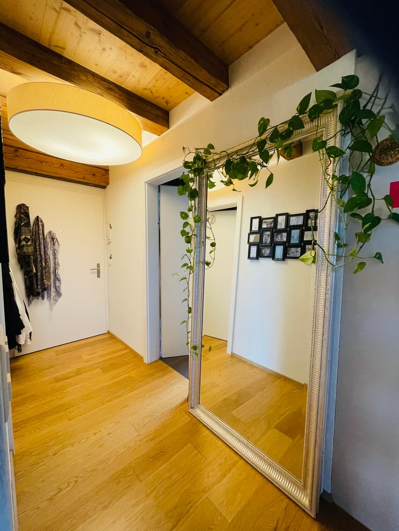 1 ZIMMER-ATTIKAWOHNUNG IN HÜTTEN (ZH), MÖBLIERT, TEMPORÄR (8)