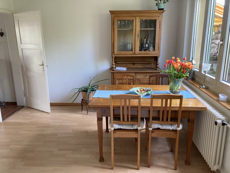 3 ZIMMER-HAUS IN ZÜRICH - KREIS 11 AFFOLTERN, MÖBLIERT, TEMPORÄR (3)