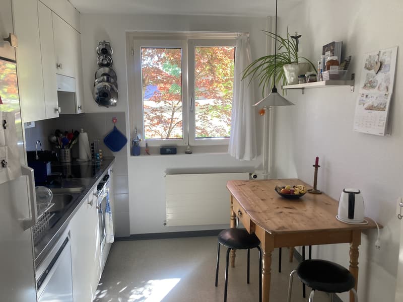 3 ZIMMER-HAUS IN ZÜRICH - KREIS 11 AFFOLTERN, MÖBLIERT, TEMPORÄR (7)
