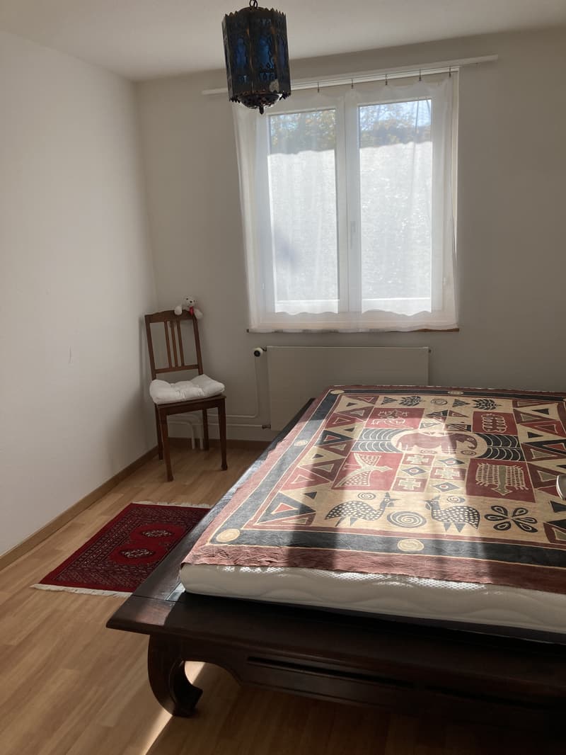 3 ZIMMER-HAUS IN ZÜRICH - KREIS 11 AFFOLTERN, MÖBLIERT, TEMPORÄR (4)
