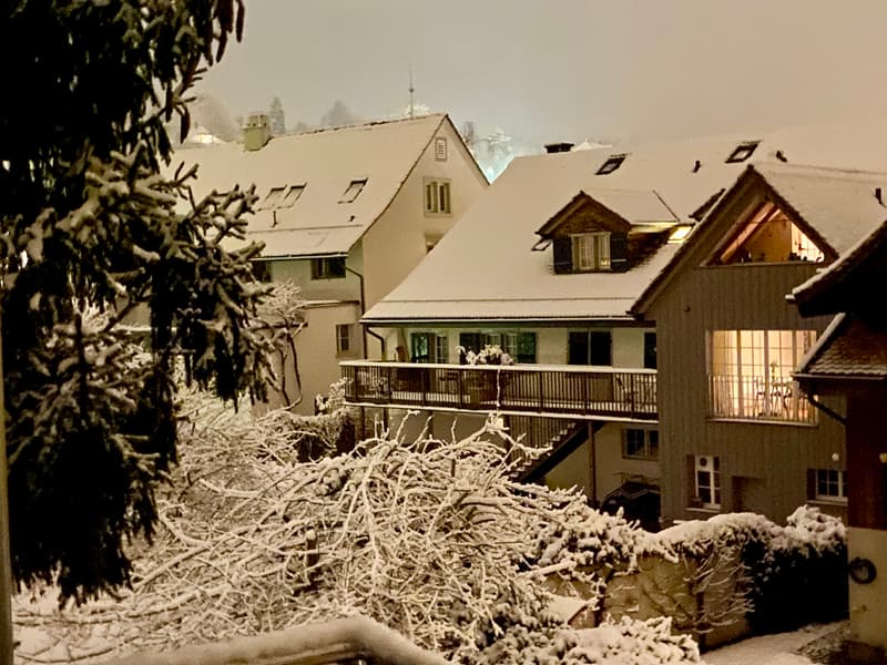 3½ ZIMMER-MAISONETTEWOHNUNG IN ZOLLIKON (ZH), MÖBLIERT, TEMPORÄR (9)