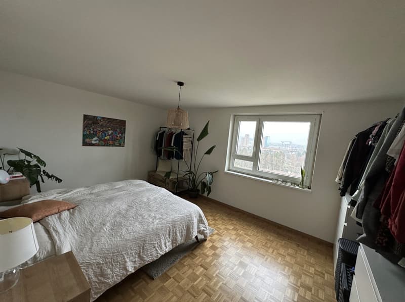 2½ ZI-WOHNUNG IN ZÜRICH, MÖBLIERT, TEMPORÄR (6)