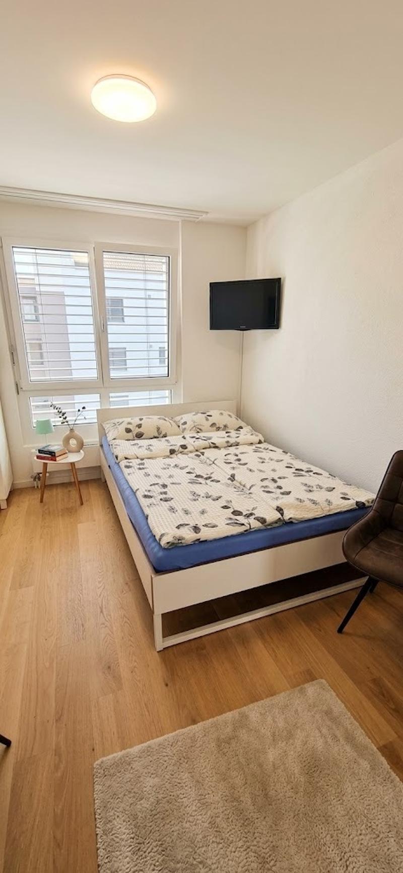 STUDIO IN LANGWIESEN (ZH), MÖBLIERT, TEMPORÄR (3)