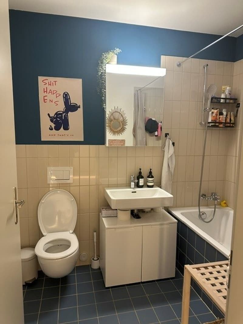 3½ ZI-WOHNUNG IN DÜBENDORF (ZH), MÖBLIERT, TEMPORÄR (4)