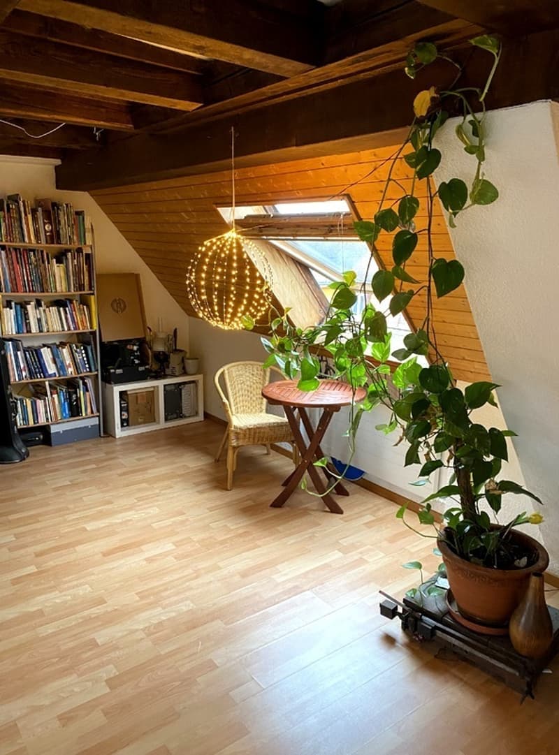 1½ ZIMMER-DACHWOHNUNG IN ZÜRICH - KREIS 3 SIHLFELD, MÖBLIERT, TEMPORÄR (1)