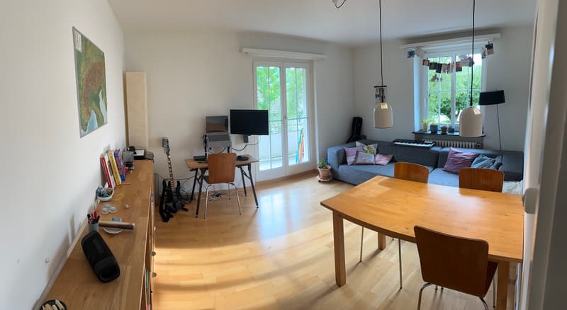 2½ ZI-WOHNUNG IN LUZERN, MÖBLIERT, TEMPORÄR (1)