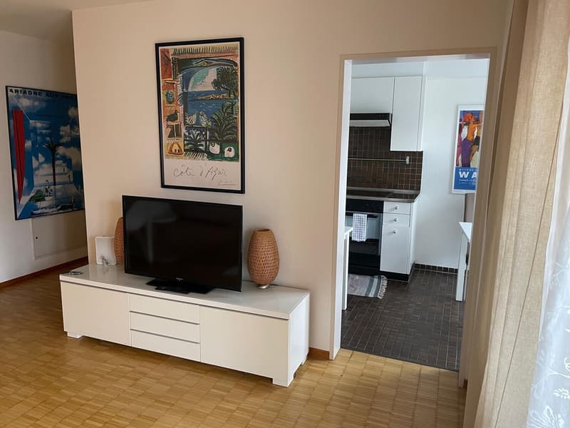 2½ ZI-WOHNUNG IN ZÜRICH - KREIS 11 OERLIKON, MÖBLIERT, TEMPORÄR (3)