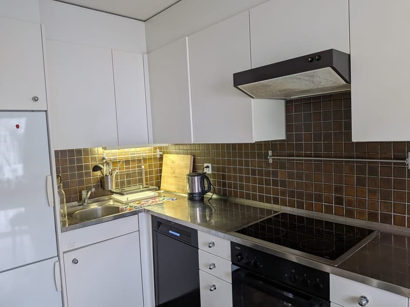 2½ ZI-WOHNUNG IN ZÜRICH - KREIS 11 OERLIKON, MÖBLIERT, TEMPORÄR (5)