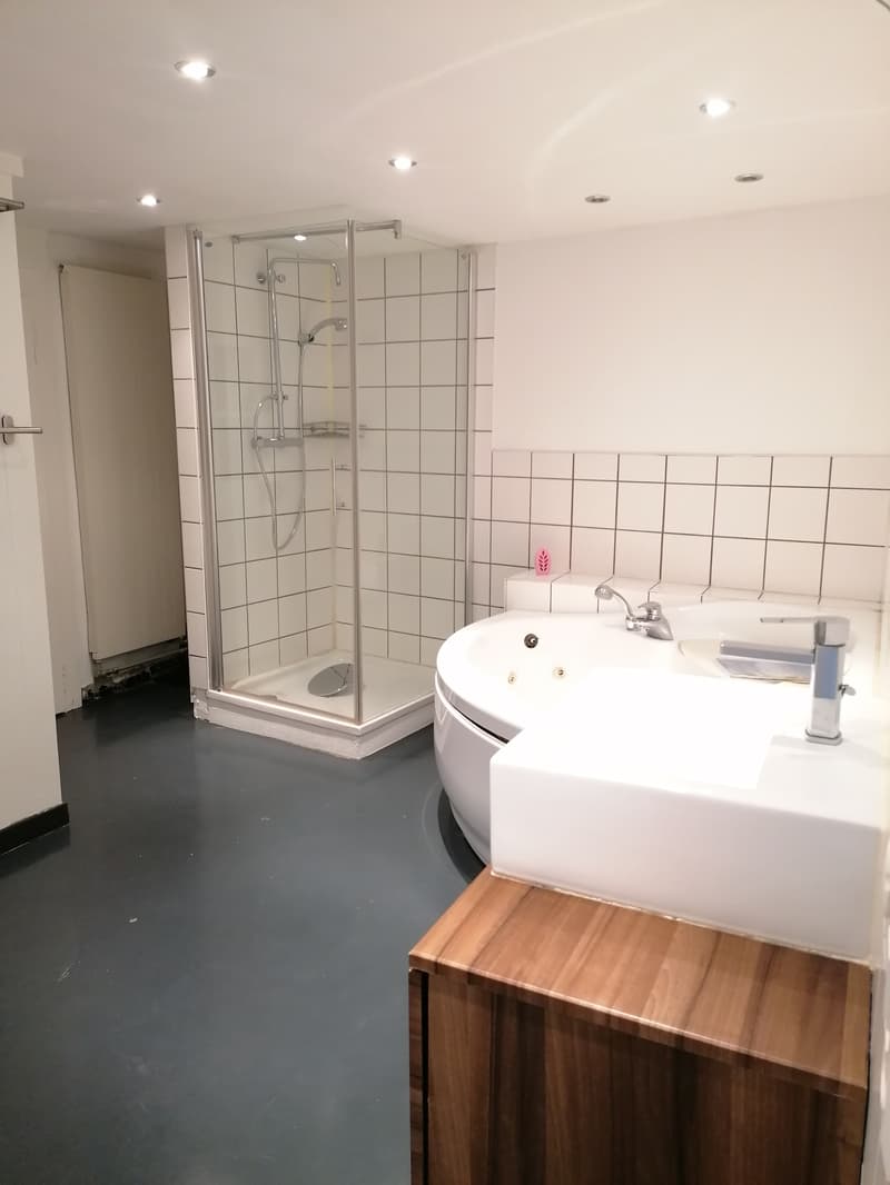 5½ ZI-WOHNUNG IN ERLACH (BE), MÖBLIERT, TEMPORÄR (9)