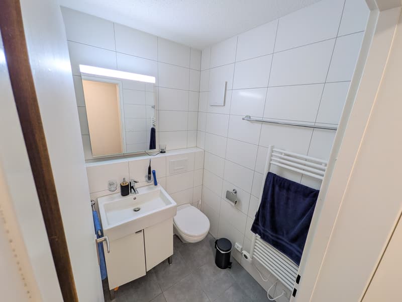 2 ZI-WOHNUNG IN LUZERN, MÖBLIERT, TEMPORÄR (6)