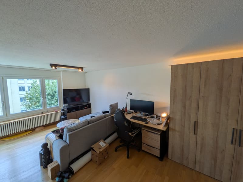 2 ZI-WOHNUNG IN LUZERN, MÖBLIERT, TEMPORÄR (2)