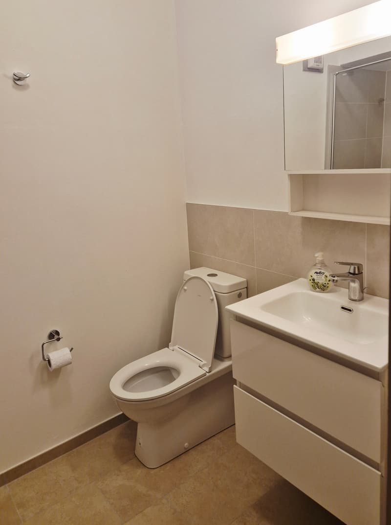 1½ ZI-WOHNUNG IN VACALLO (TI), MÖBLIERT (7)