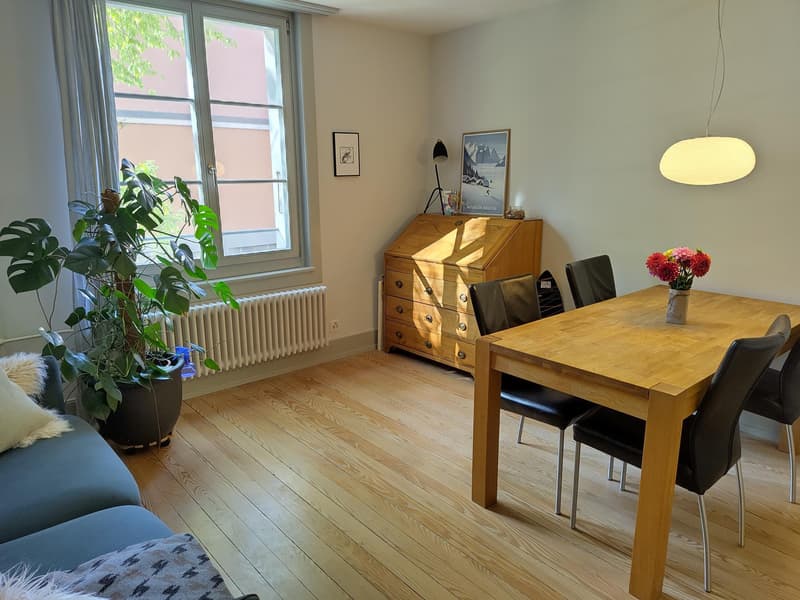 2 ZI-WOHNUNG IN BERN - MATTENHOF, MÖBLIERT, TEMPORÄR (1)