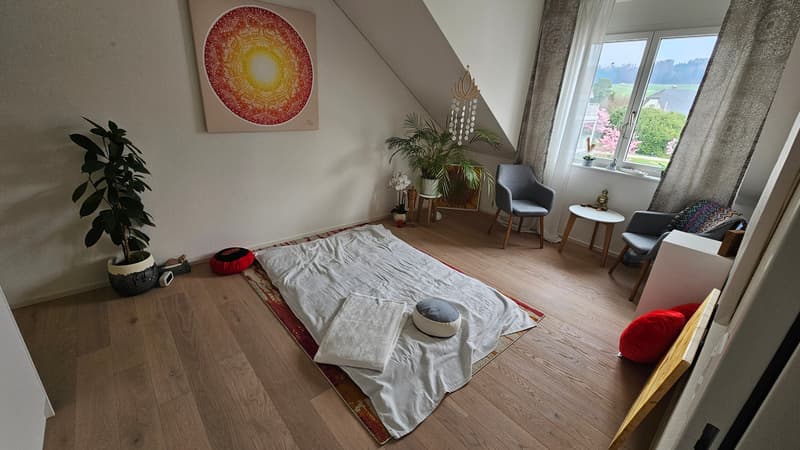 3½ ZI-WOHNUNG IN SCHNEISINGEN (AG), MÖBLIERT, TEMPORÄR (3)